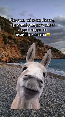 #Meme #MemeCut #Meme 