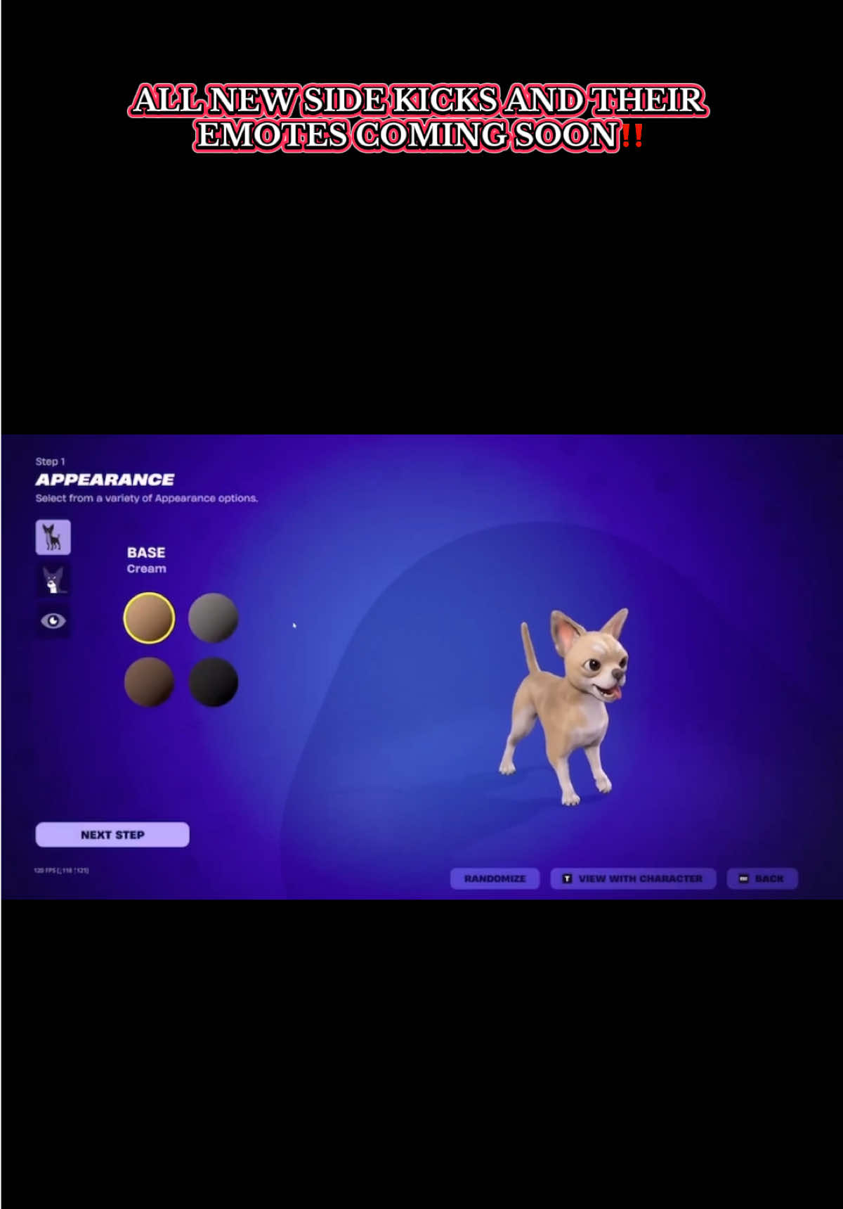 ALL NEW SIDE KICKS AND THEIR  EMOTES COMING SOON‼️ #fortnite #sidekicks #fortnitenews #fypシ゚viral #gabycaligirl714 