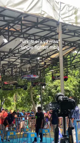 iyo² mbk single aku, ngono ae bengak bengok😩🥺 #muraibatuindonesia #muraibatu#kicaumania #gantangan #singlefighter 