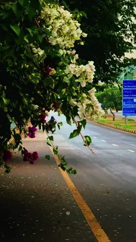 𝘽𝙧𝙚𝙚𝙯𝙮 𝙉𝙤𝙫𝙚𝙢𝙗𝙚𝙧 𝙛𝙚𝙚𝙡𝙨 🍂