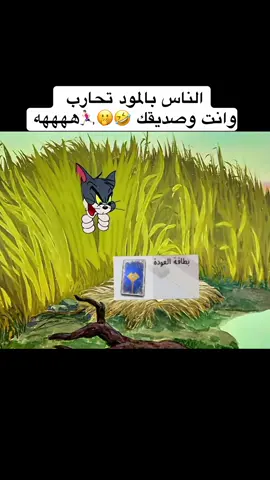 #الشعب_الصيني_ماله_حل😂😂 #اكسبلورexplore 