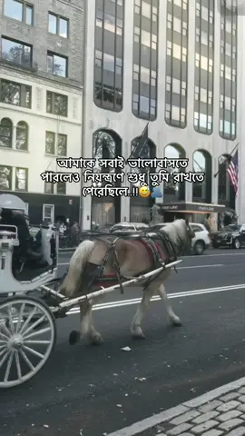 আমাকে সবাই ভালোবাসতে পারলেও নিয়ন্ত্রণে শুধু তুমি রাখতে পেরেছিলে..!!😅🫂