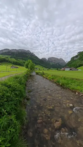 📍🇨🇭 ابنزل ، سويسرا 🌿##سويسرا🇨🇭 #طبيعة #سياحة_سفر #جمال_الطبيعة 