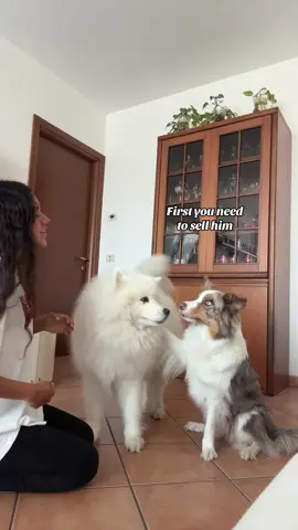 What do you say? Should we get a new puppy? 🤪 #trend #viral #dog #funny