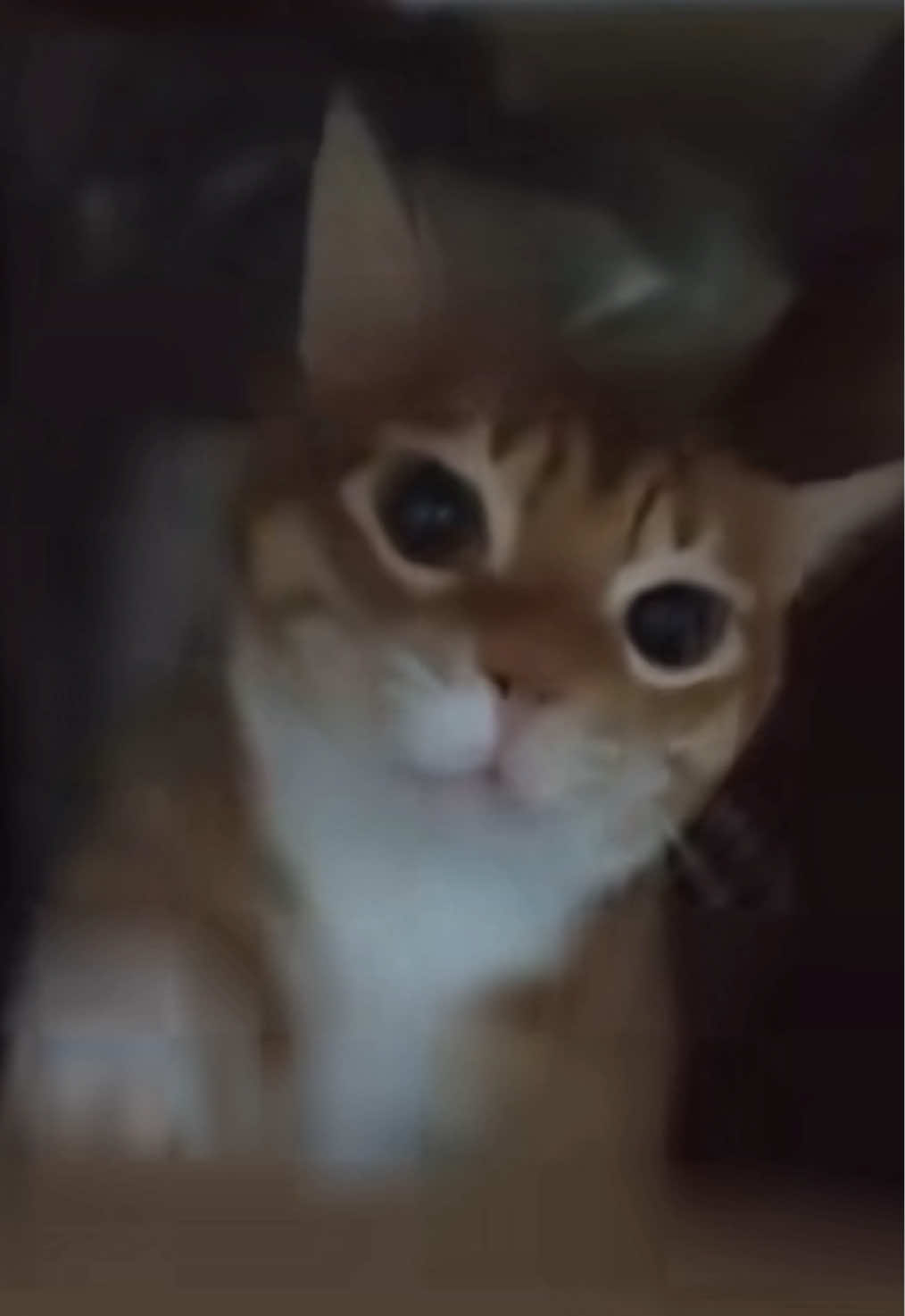 хз мило #девушка #отношения #любовь #жиза #мило 