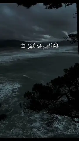 #CapCut#آيات_قرآنية #فأما_اليتيم_فلا_تقهر #قرآن_كريم #سعود_الفايز 