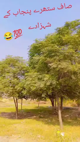 #viralvideo #viraltiktok 😂😂💯👉😂