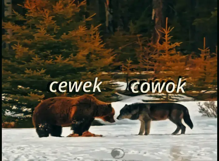 bismillah F Y P1234578912345678901234567890123456789123456789