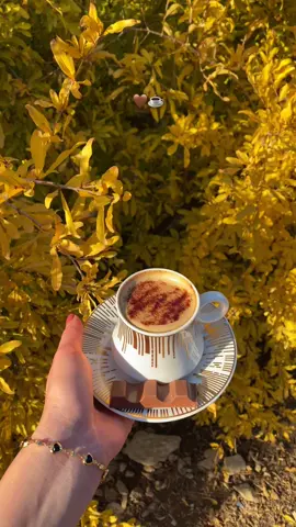 قاوەی تال ناخومەوە🫠🤎☕️…#fypシ゚ #viral #tiktok #foryou #selwa🦋 