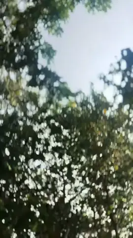 #duet with @আমি একান্তই তোমার বুকে আসি ভিতরে পরে চাই 