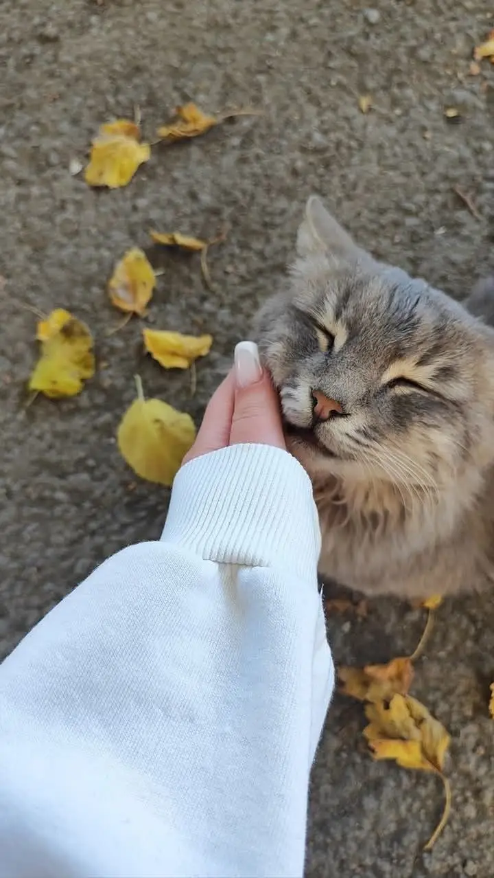 صور للبروفايل 💕💞✨