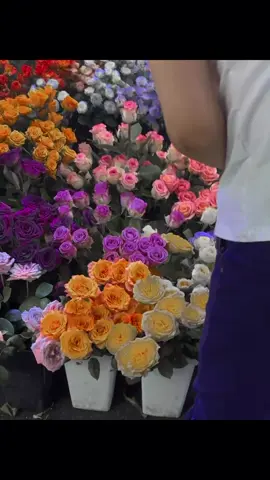 Flowers 💐✨ #reels #fyp #sunset 