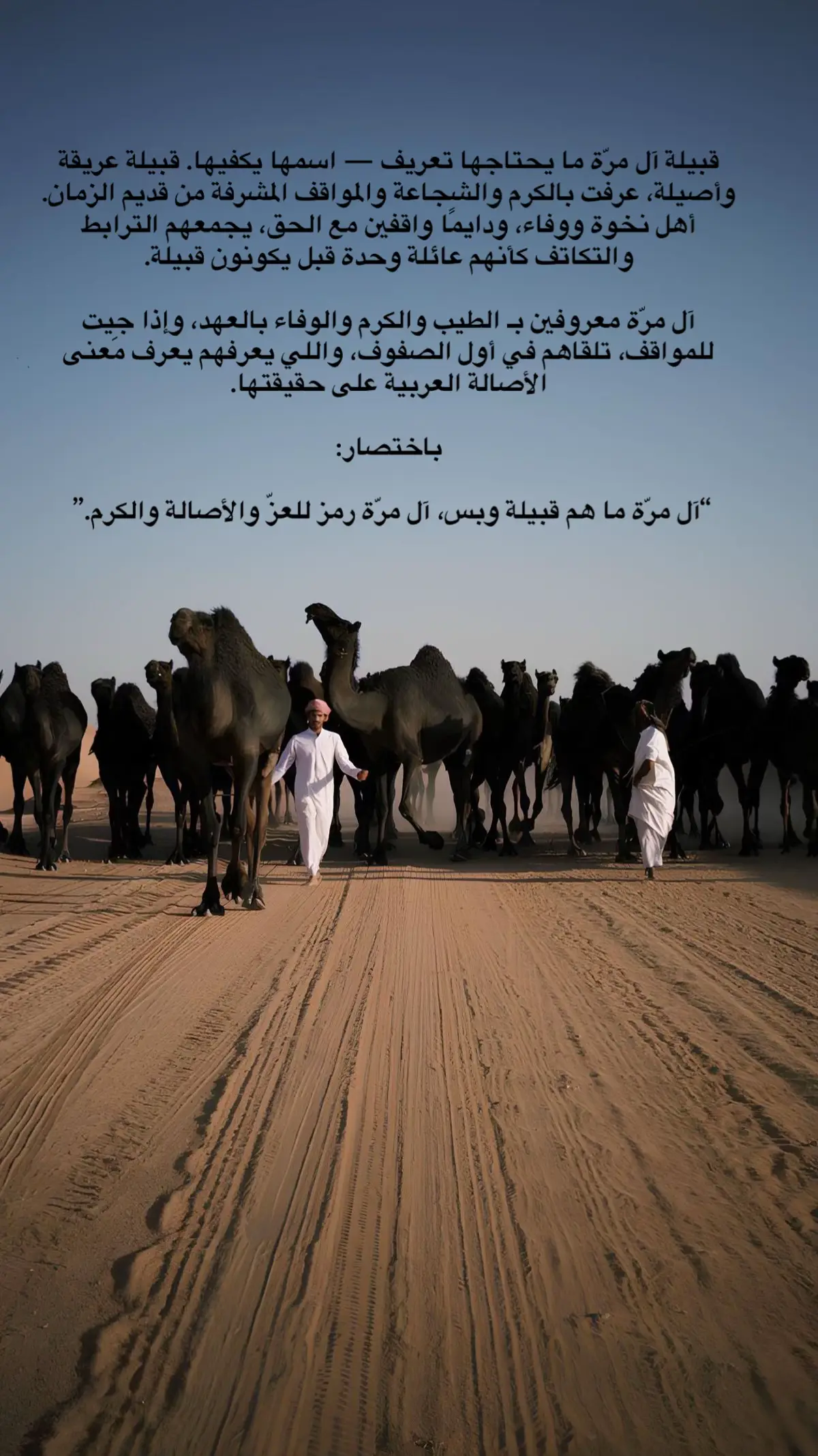 #55 #ال_مره  ❣️