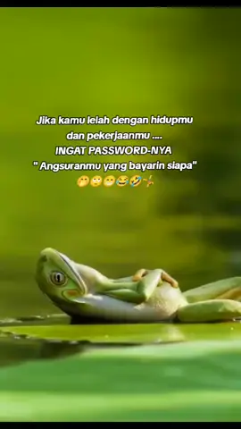 #kodok #gabut #foryoupage #ngakakkocak #🤣🤣🤣 