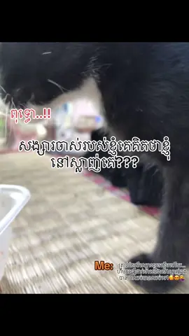 ហាកមិចចឹង bro??!!#foryou #viral #ti̇ktok 