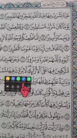 #quran 