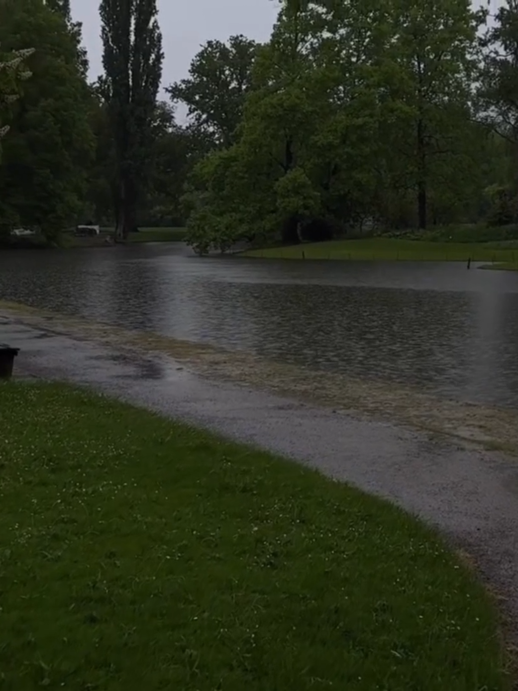 عُدّ لي حبيبي قلبي فارحم.. ... #دعاء  #الامام_المهدي  #اللهم_عجل_لوليك_الفرج  #nature  #prayers 