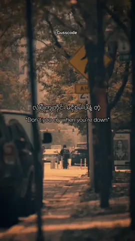 Supermarket Flowers Song by Ed Sheeran #gusscode #for #lyircs #mmsub 