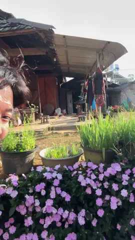 Review Sì Thâu Chải, ngôi làng cổ tính đẹp tại tỉnh Lai Châu #sithauchai #reviewsithauchai #laichau #hiencoto #ancungtiktok 