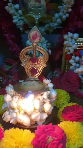 ஓம் சரவண பவ 🦚⚜️🐓🚩🚩🚩