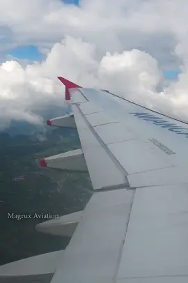 Airbus A320 Flaps and speedbrakes working ✈️🔊 Avianca Colombia 🇨🇴  #flapsextending #flapsdeployed #speedbrakes #spoilers #a320   
