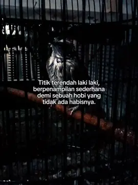 #ropelmania  #trucukan #kicaumania #kicaumaniaindonesia  #fyppppppppppppppppppppppp 