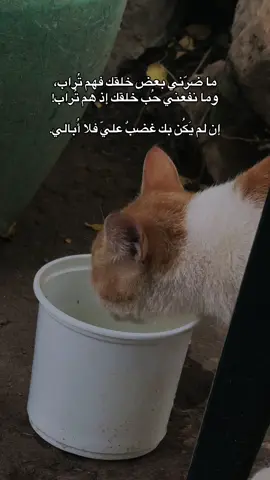 #يارب_رحمتك 