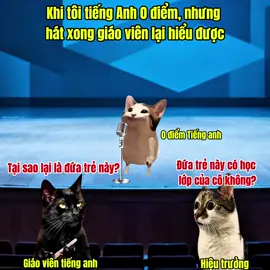 Khi tôi tiếng Anh 0 điểm, nhưng hát xong giáo viên lại hiểu được #meme #catmeme 