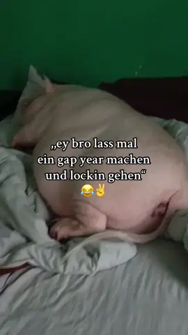 Simone andreoli out auf allen plattformen #xolion #juggtok #deutsch 