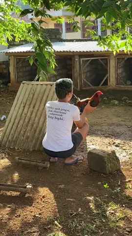 Kata kata berkelas @Panji Oke #masukberandafyp #fypシ゚ #maduraviral 