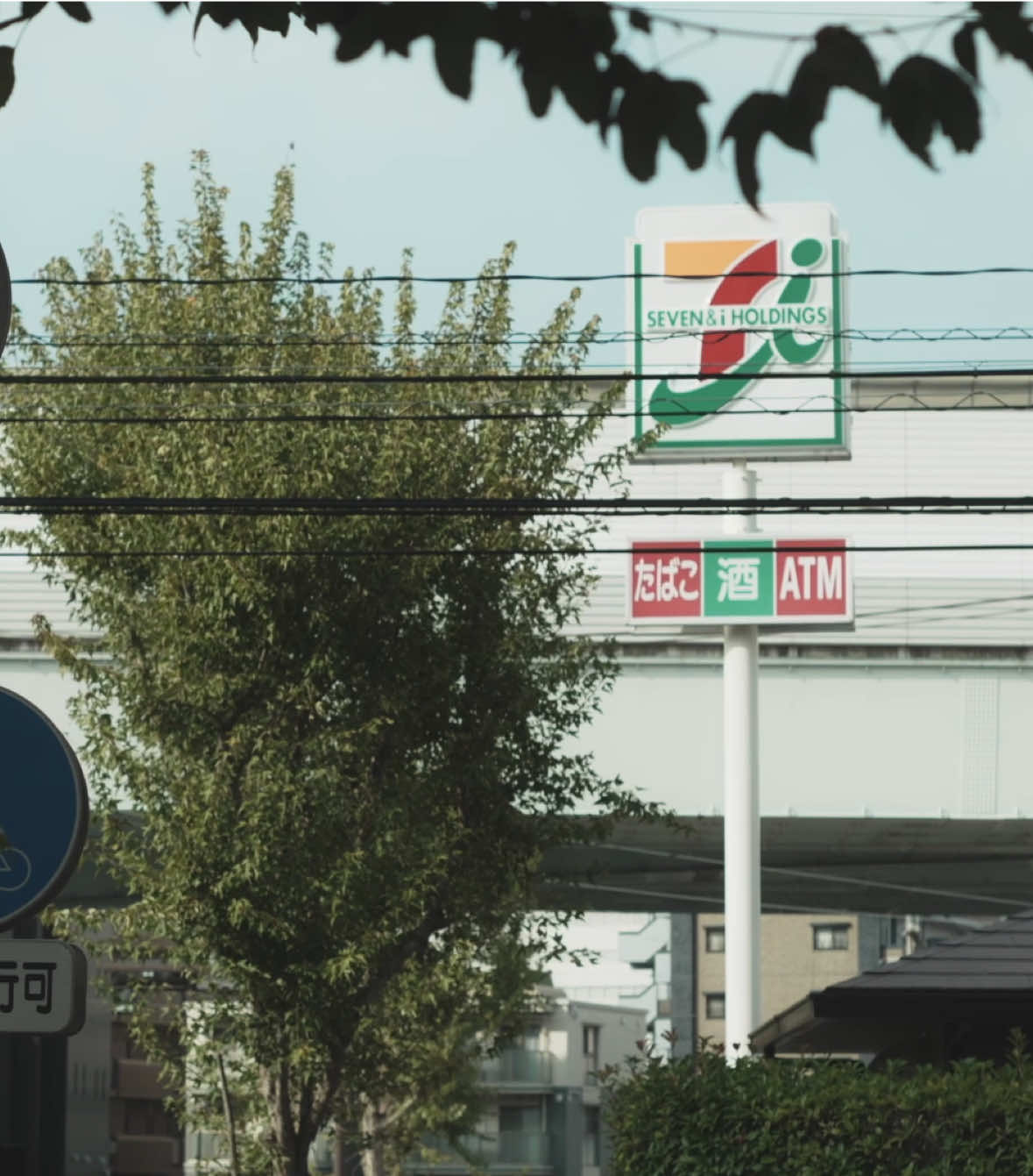 近所 | Around #japan #kyushu #japantravel #japanvibes #beautifuljapan 