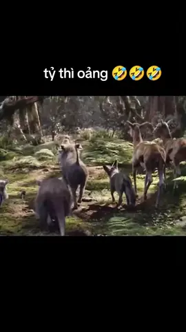 Tý thì bumba thành bữa tối nay #phimhaymoingay #xuhuong #moingay3ktrada #phimhay