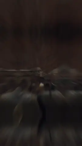 #CapCut 🎶😎🦅🎶 #كسبلور #قالب_جاهز_فخم_ #قونيا________________قونيا😌💙 #تصميم_فيديوهات🎶🎤🎬 