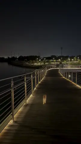 فيديوهات بدون صوت #❤ لتصميم القران #❤  مصممين قران #❤  فيديوهات بدون حقوق #❤  #فيديوهات_ 