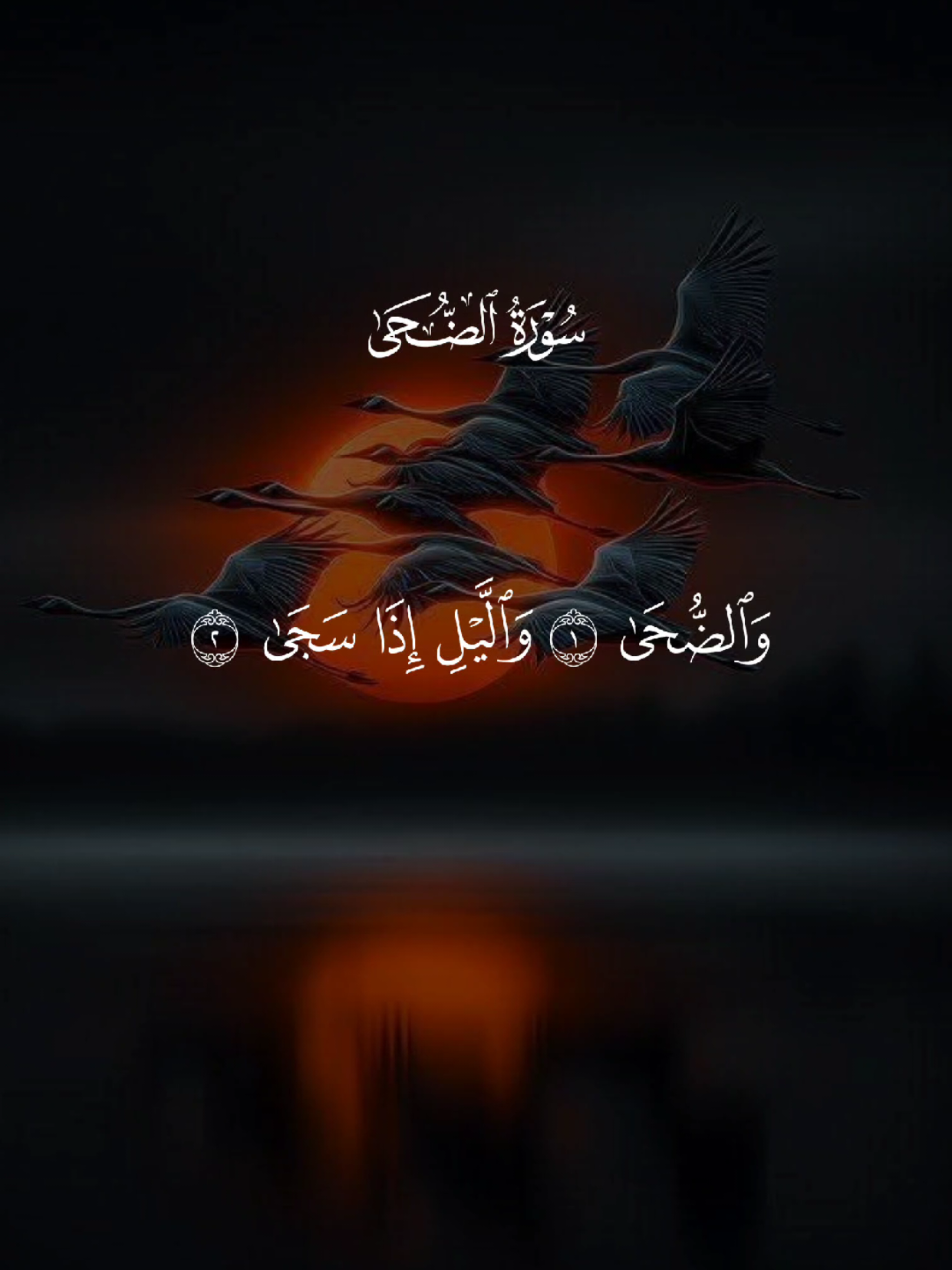 #قران #quran #قران_كريم #Allah #اللهم_صلي_على_نبينا_محمد 