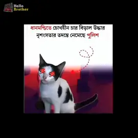 হায়রে মানুষ 😅৷  #tiktok #cupcut #trendings #সবাই #foryou 