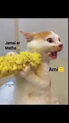 Etai bastob..!!😬🙂 . . . #viral #views #foryoupage #vairal_video_tiktok #viraltiktok 