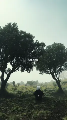 Asyuu ancenn #salpriadi  #fyp 