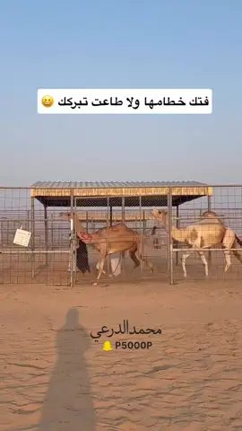 #اكسبلور #اكسبلورexplore 