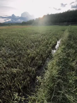 最痛的距离，不是天各一方，而是近在咫尺却无法拥抱。 