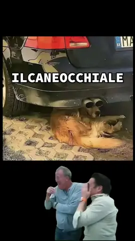 #risate #comicita #viral #neiperte 