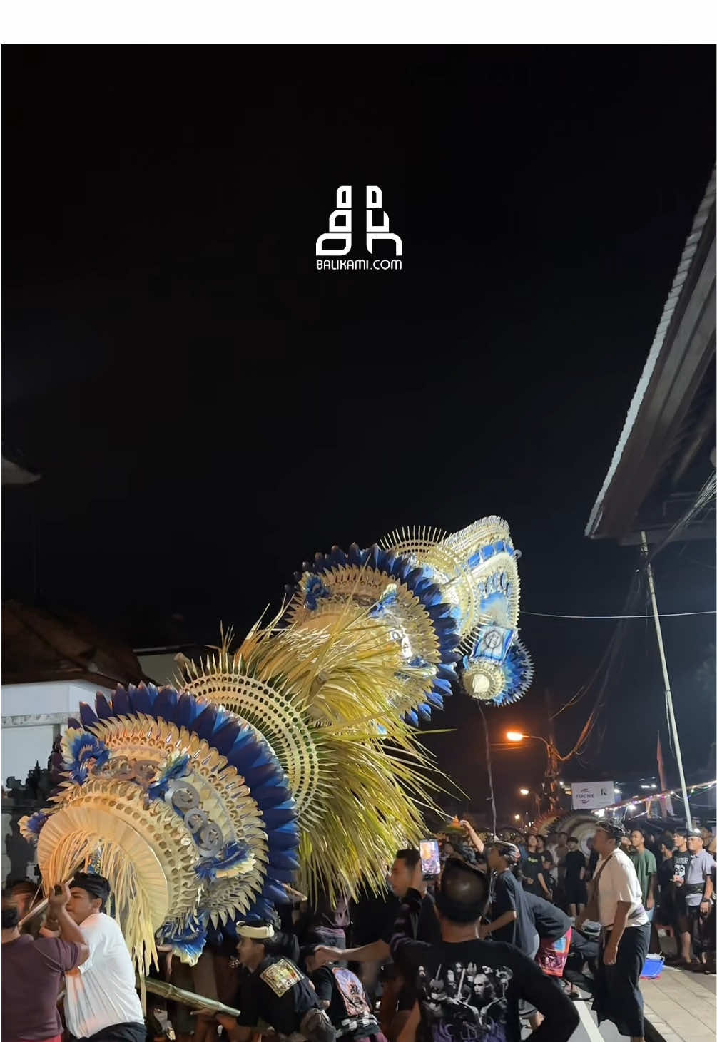 LIVE REPORT ‼️ Proses nyujuk penjor ( mendirikan penjor ) Banjar Karang Suwung Pada Lomba Penjor Se-Desa Sading Dalam Rangka 