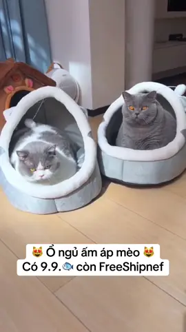 Ổ ngủ cho mèo thiết kế ấm áp và êm ái mang đến không gian nghỉ ngơi thoải mái cho thú cưng chất liệu mềm mại dễ vệ sinh #mèo #cat #thucung #onguchomeo #nhanguchomeo 