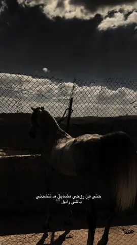 حتى من روحي مضايق مـ تنشدني ياللي رايق 🖤#كوتش_امير 