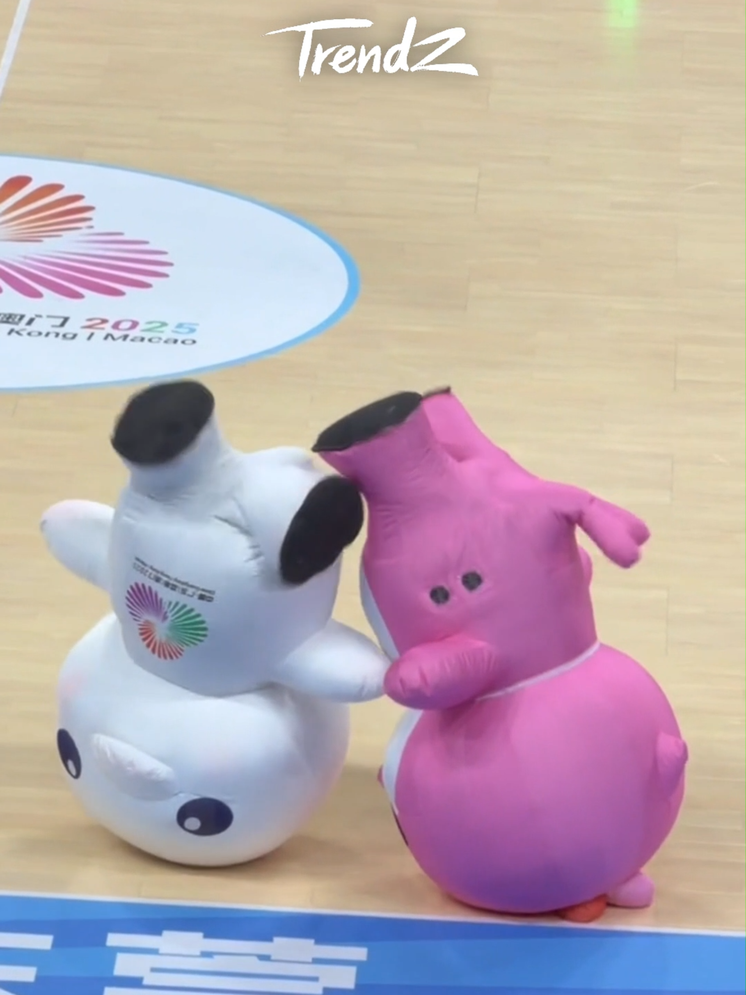🐬These mascots of National Games of China are bringing next-level chaos (in the best way)! Watch ‘em battle it out with HEADSTANDS—spinning nonstop on their little heads like tiny fluffy pros! Who’s nailing the spin better? This wild, silly energy is pure viral gold, impossible not to smile at! 🤸 #NationalGamesofChina #Mascot #Headstand #SpinBattle #FluffyAcrobats #ViralMascots #CuteChaos #ChinaSportsFun #HeadstandSpinChallenge