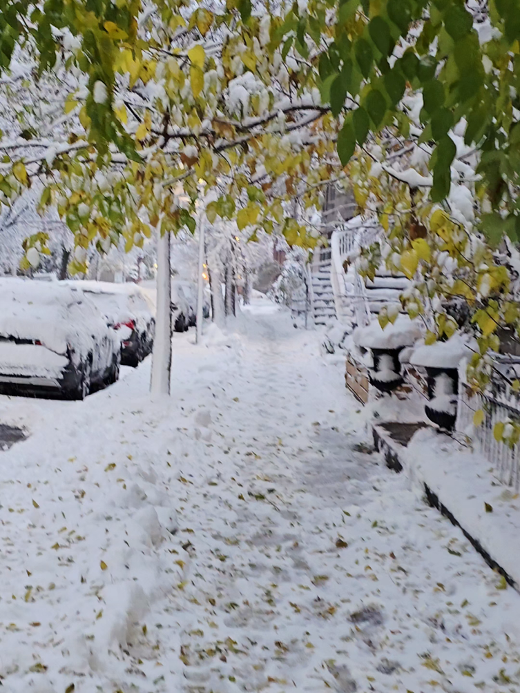 Montréal Snow Winter #Montreal #snow #winter #tiktokmontreal #neige 