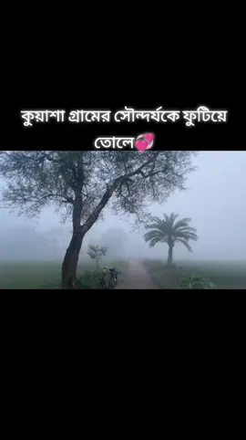 “সৌন্দর্য তখনই অর্থপূর্ণ হয়, যখন তা হৃদয় থেকে প্রকাশ পায়—চেহারার নয়, চরিত্রের দীপ্তিতেই সৌন্দর্যের আসল পরিচয়।”    