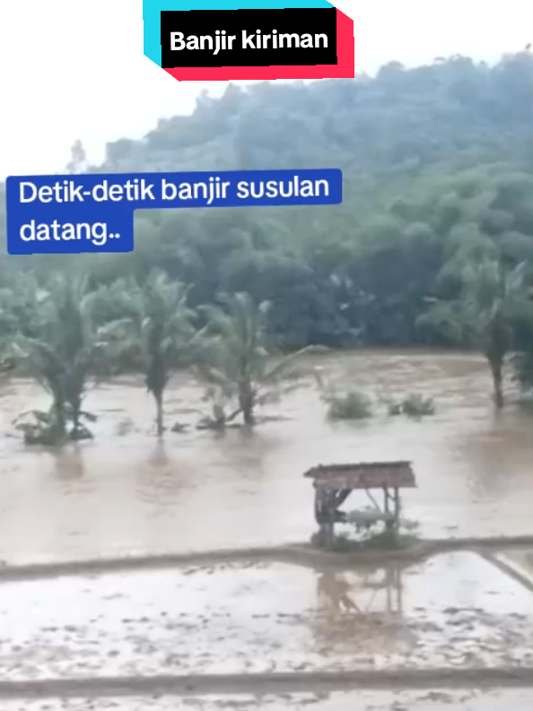 hujan deras seharian,membuat sungai logawa menyapu pesawahan sekitar#banjirbandang#sungailogawa#patikrajabanyumas 