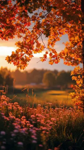 Enjoy the Quiet #Background #LiveWallpaper #Aesthetic #Nostalgia #freebieclip