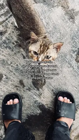 #fyp #4u #foryoupage 